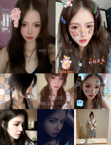 秦淮区蛇纹豆豆